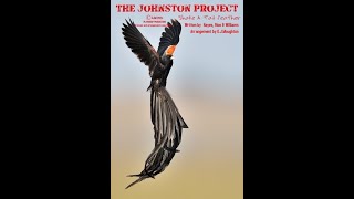 Shake a Tail Feather by The Johnston Project [upl. by Atikahs993]