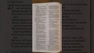 NASB Book of Psalms Chapter 27 [upl. by Thorstein7]