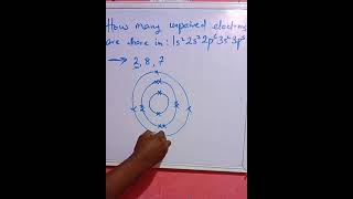 Electron Configuration of Elements chemistry chemistryclass12 [upl. by Woothen]