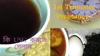 2🥰।।1st Trimester Pregnancy।। প্রথম জানার পর কি USG করতে গেলাম।।Bengali Vlog Videos [upl. by Ordnasela]