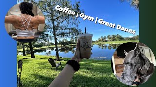 GYM  COFFEE  GREAT DANES [upl. by Aldredge416]