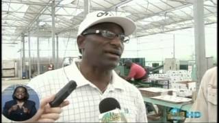 Agriculture Minister Tours Lucayan Tropical Farm [upl. by Thurlow255]