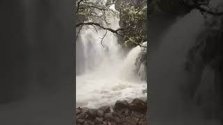 Ardessie Falls  Water Falls  Garve  Walking highlands  highland Of Scotlandshort [upl. by Deenya892]