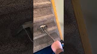 Satisfying Carpet Steam Cleaning [upl. by Olivette610]