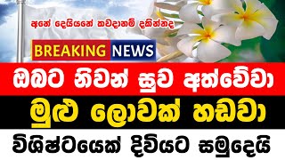 ada derana news today live  hiru breaking new  ada derana news today live stream  ada derana bre [upl. by Lilia828]