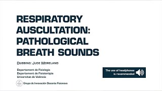 Respiratory auscultation pathological breath sounds [upl. by Tallula941]