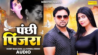 Panchi Pinjra Audio Song  Sumit Banjara  Sonika Singh  New Haryanvi Song  Sonotek Records [upl. by Russon]