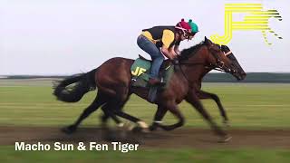 Newmarket Gallops 200724  Julia Feilden Racing [upl. by Enelrihs]