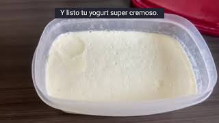 yogurt super cremoso lleno de probióticos [upl. by Greene]