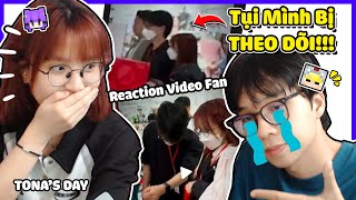 NABEE amp TOGA PHÁT HIỆN CÓ NGƯỜI THEO DÕI NGOÀI ĐỜI  REACTION VIDEO CỦA FAN  TONAS DAY  Nabee TV [upl. by Ynnad]