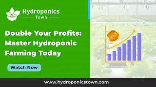 Double Your Profits Master Hydroponic Farming Today—Hydroponics Town [upl. by Dleifniw]