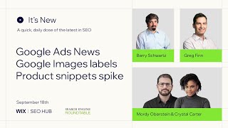 Its New Sep 18 Google Ads News image search panels and product snippets reporting bug [upl. by Giwdul848]