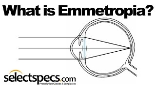 What is Emmetropia  With SelectSpecscom [upl. by Yroffej10]