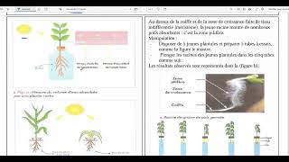 68Limportance de leau et des sels minéraux pour les plantes vertes [upl. by Aratak520]