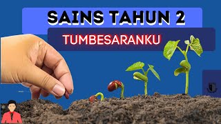 Sains Tahun 2Tumbesaranku [upl. by Aitnom]