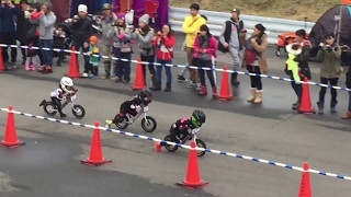 Wild Runner Cup 6th  4 years old  Final race  Strider racing in Japan [upl. by Sherrod]