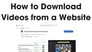 How to Download Videos from Any Website for Free  Video Downloader Professional Tutorial [upl. by Odnama332]