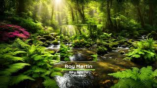 Roy Martin  Sky Spirits  Slowed [upl. by Labotsirhc362]