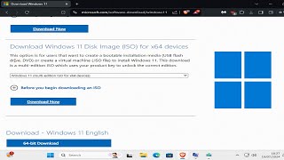 How To Download Windows 11 ISO File [upl. by Resa]