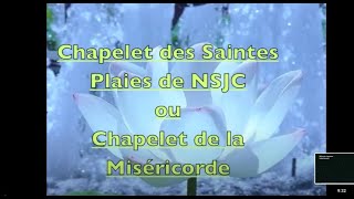 CHAPELET DES SAINTES PLAIES DE NSJCSOEUR Marie Marthe Chambon [upl. by Ococ]