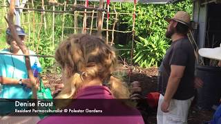 Polestar Gardens Hawaii Permaculture Workshop [upl. by Naot]