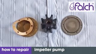 falch impeller pumpe how to repair  falch impeller pump how to repair  wwwfalchcom [upl. by Shurwood]