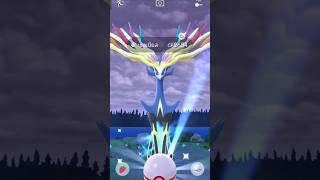 Catch Xerneas IV93  Pokémon GO Xerneas PokémonGO legendarypokemon [upl. by Delaine]