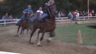 Amateur Pacing H amp P Horse Show Pikeville KY July 1 [upl. by Dyche]