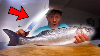 CATCH AND COOK  ZEEBAARS VANGEN EN OPETEN  VLOG 96 [upl. by Waylin633]