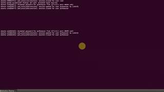 Python Advanced Tutorial  How to build SSH client in Python [upl. by Aidile]