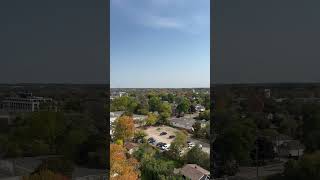 Autumn leaves in Guelph’s forest canopy on Canadian Thanksgiving long weekend gratitude fall [upl. by Aneeb]