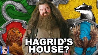 Which House Was Hagrid In  Harry Potter Theory [upl. by Ellehcrad823]