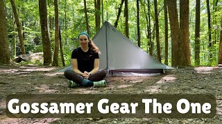 Gossamer Gear The One First Impressions and Setup  Is This Tent Worth Buying [upl. by Erdnassak]