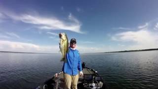 Catching big bass ledge fishing with sonar electronics amp Panoptix [upl. by Alina]