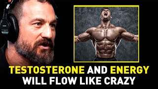 Neuroscientist quotTRIPLE Your Testosterone Levelsquot  Andrew Huberman [upl. by Eizle]