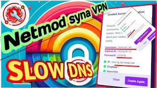 Setting Up Netmod Syna VPN with SSH Slow DNS [upl. by Nasar]