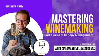 WSET Level 4 WSET Diploma Mastering The Aims of Canopy Management  Part 1 [upl. by Ludmilla]