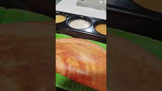 Milma veg restaurant  kochi [upl. by Griseldis]