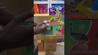 Starvell Emu Egg Cracker Testing Video  diwali2024  colorscrackers [upl. by Wessling682]