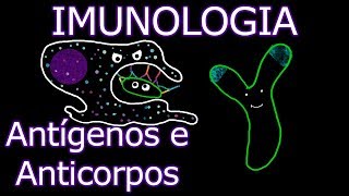 Aula Imunologia  Antígenos e Anticorpos  Imunologia 7 [upl. by Aryahay]