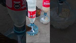 how to make homemade chicken feeders chickendrinker chickenfeeder comederoybebedero [upl. by Palma]