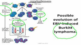 Microbial carcinogenesis [upl. by Bauske]