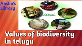 Biodiversity part5 Values of biodiversity in telugu [upl. by Dareece289]