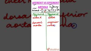 Afferent vs Efferent Arteriole [upl. by Mishaan465]