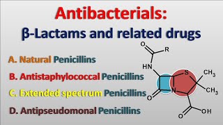 Antibacterials  Betalactam antibiotics and related drugs [upl. by Enomal394]