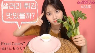 셀러리 튀기면 맛있을까소리연구소 ASMR샐러리 이팅사운드꿀꿀선아suna asmr한국어 asmr [upl. by Elesig]