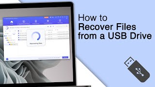 How to Recover Files from a USB Drive 2024 [upl. by Vally]