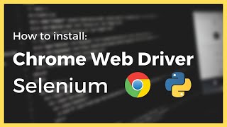 How to install the Chrome Web Driver for Selenium in Python [upl. by Aenert]