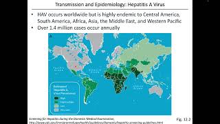 Virology Chapter 12 Part 1 Hepatitis Viruses [upl. by Elisha]