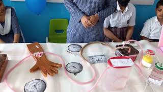 Science Working Model on Dialysis  Science Exhibition RS Public School Karnal [upl. by Chiles]